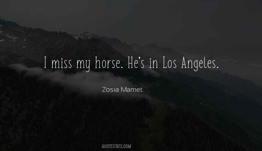 Quotes About My Horse #1134003