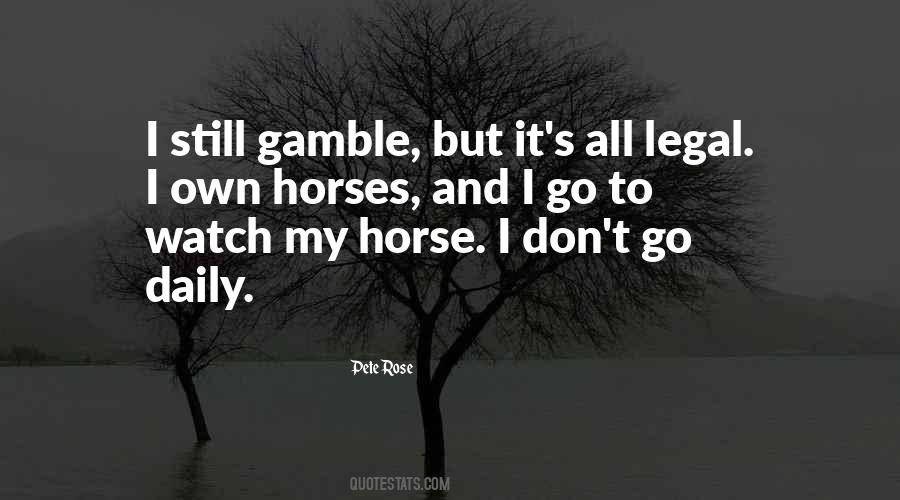 Quotes About My Horse #1302595