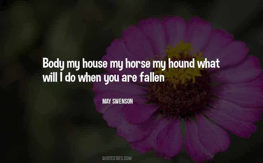 Quotes About My Horse #1684389