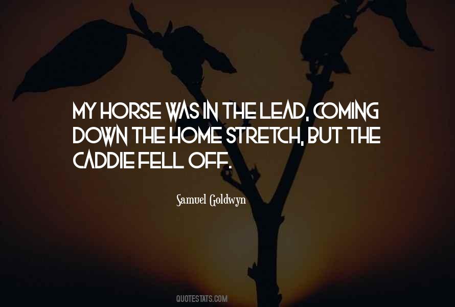 Quotes About My Horse #375879