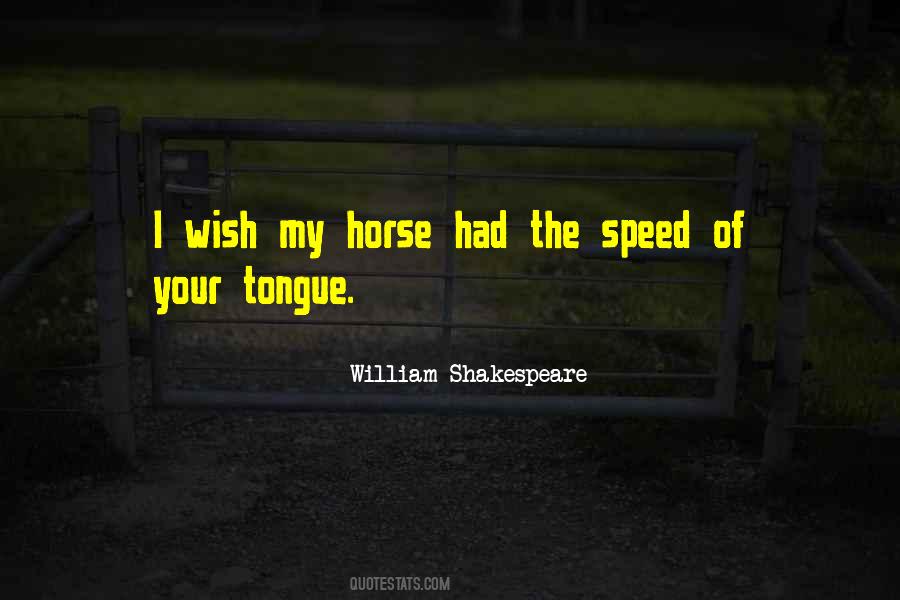 Quotes About My Horse #696226