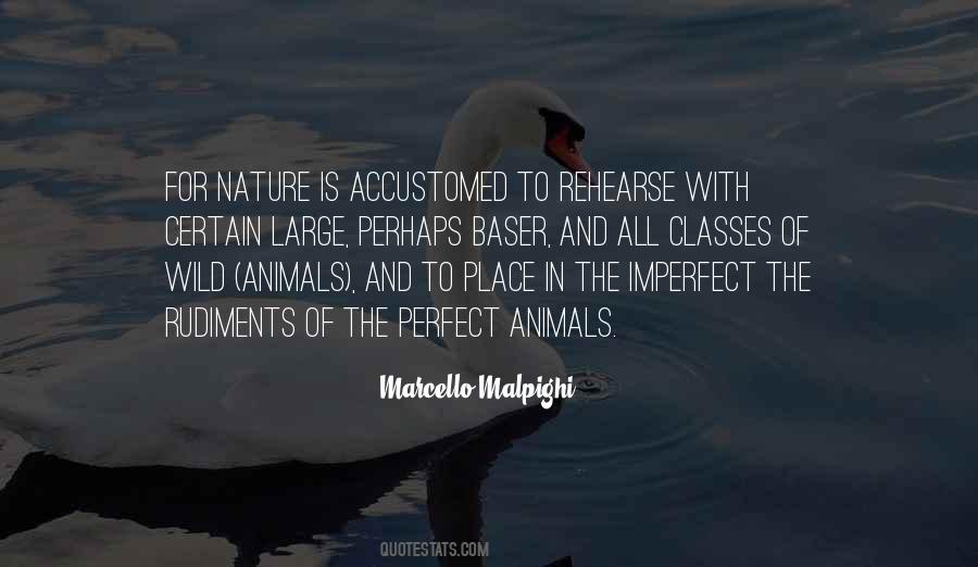 Quotes About Animals And Nature #640060