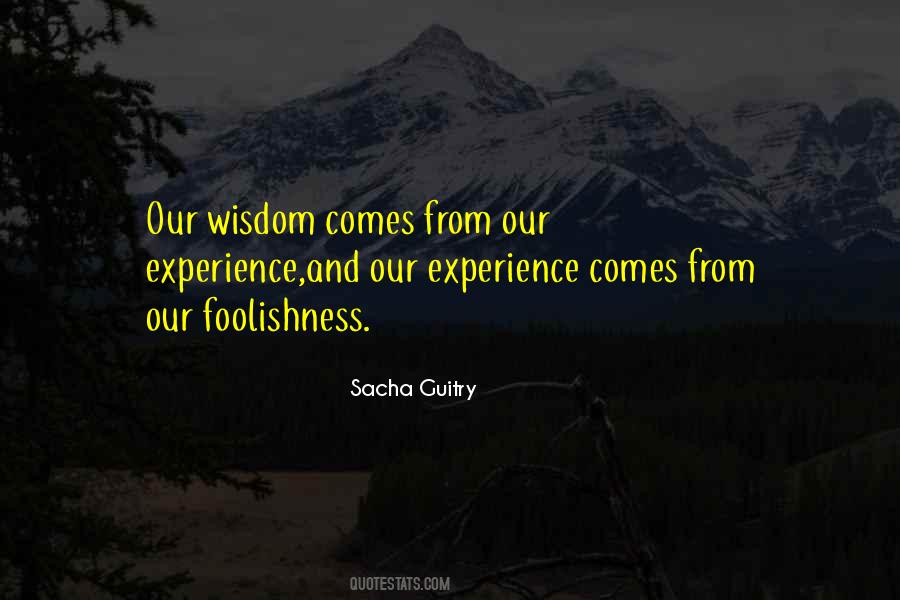 Quotes About Experience And Wisdom #103725