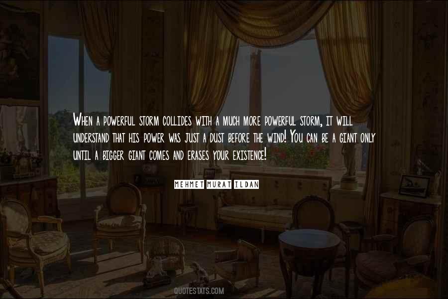 Understand The Words Quotes #176775