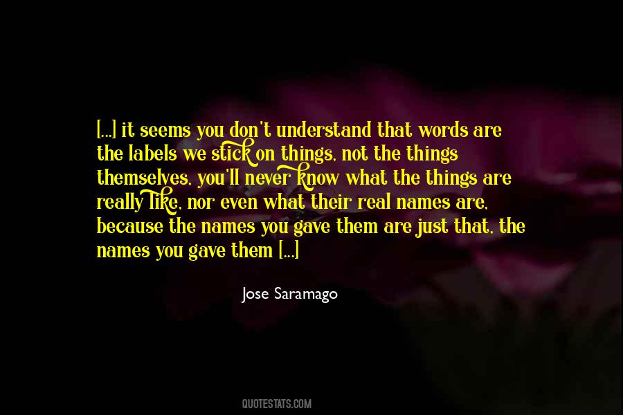Understand The Words Quotes #3438
