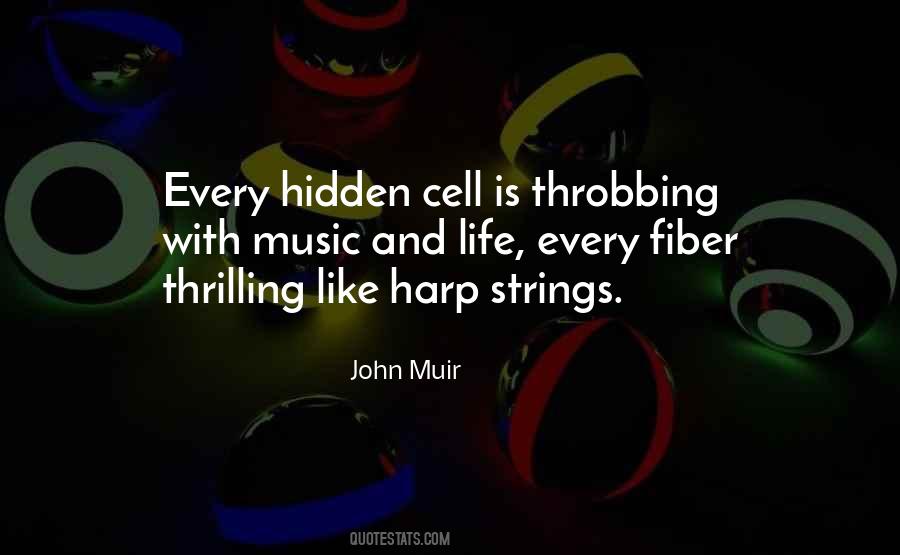 Close Observation Quotes #610638