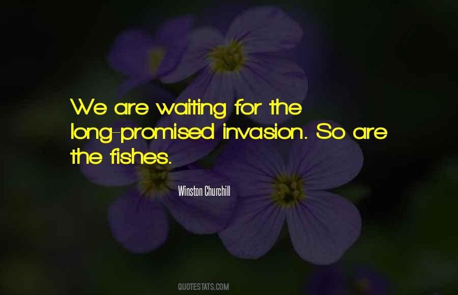 Quotes About Waiting So Long #483009