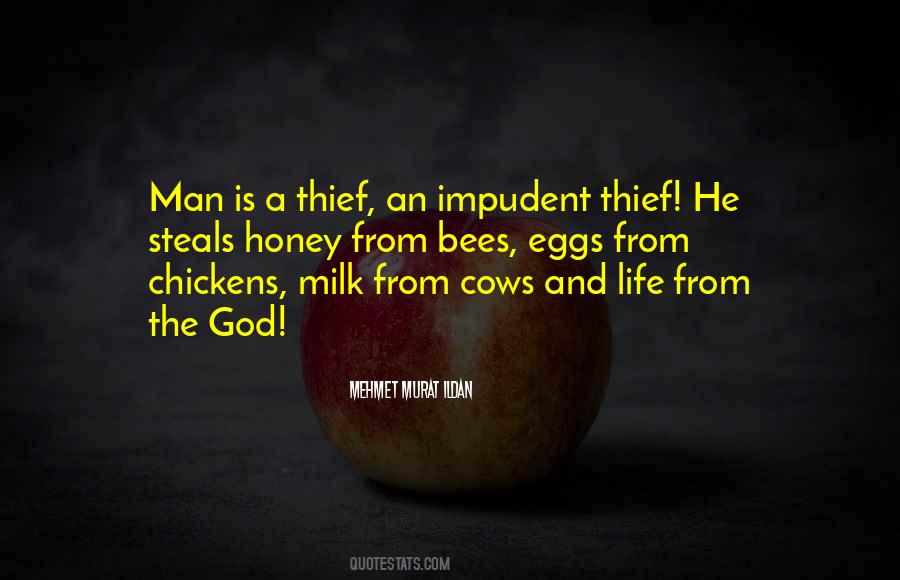 Milk Cows Quotes #1496241