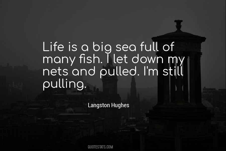 Quotes About Nets #1426240