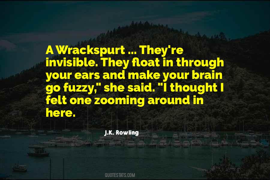 Quotes About Zooming #1307449