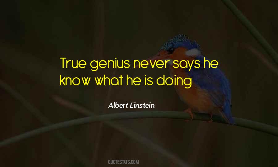 Quotes About True Genius #361467