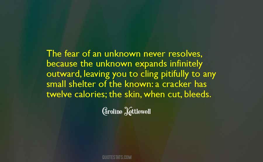 Quotes About Fear Of The Unknown #258221