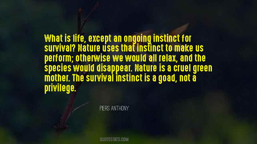 Quotes About Piers #642342