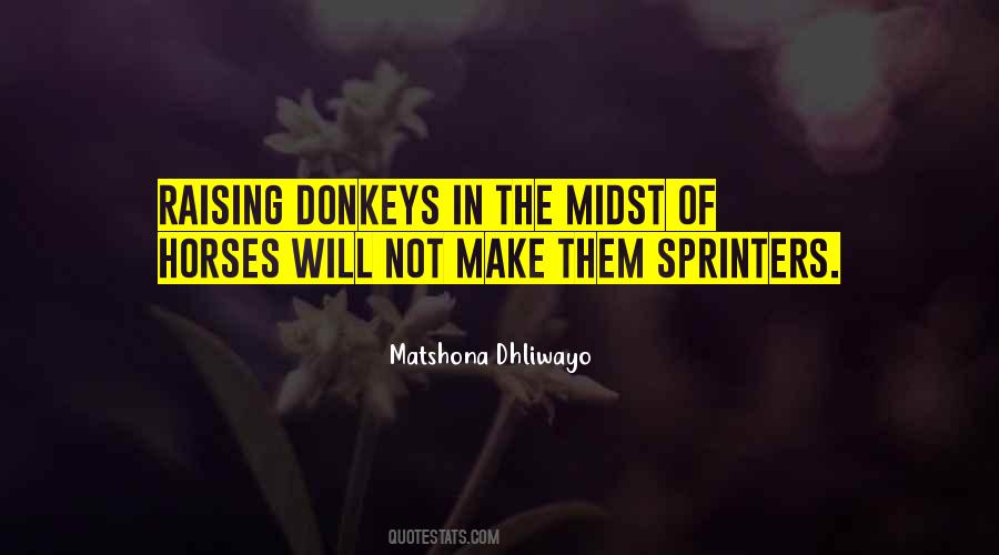 Quotes About Donkeys #1036068