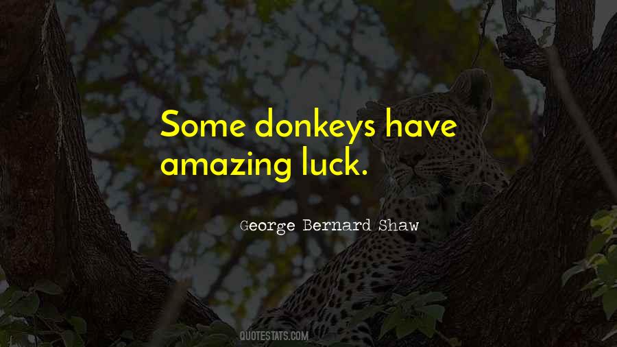 Quotes About Donkeys #1358980