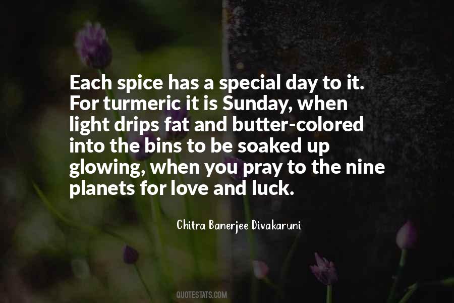 Quotes About A Special Day #375150