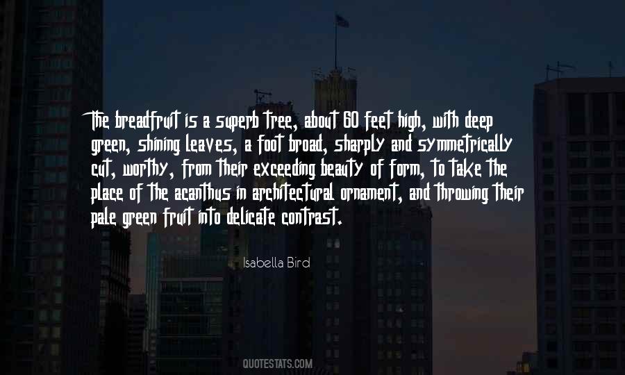 Deep Beauty Quotes #304817