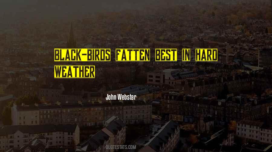 Black Birds Quotes #645366