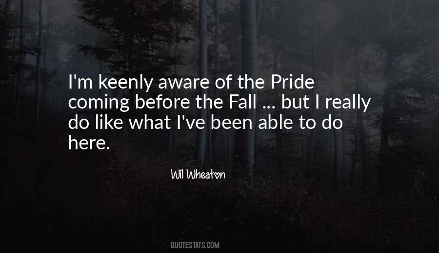 Quotes About Pride Comes Before A Fall #1109365