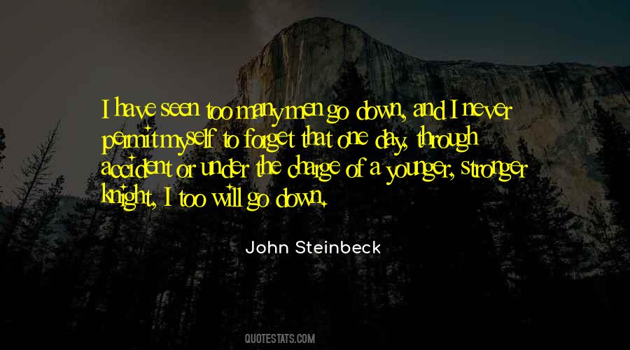 Quotes About Going Through Ups And Downs #1041055
