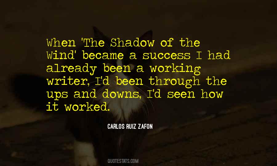 Quotes About Going Through Ups And Downs #1636527