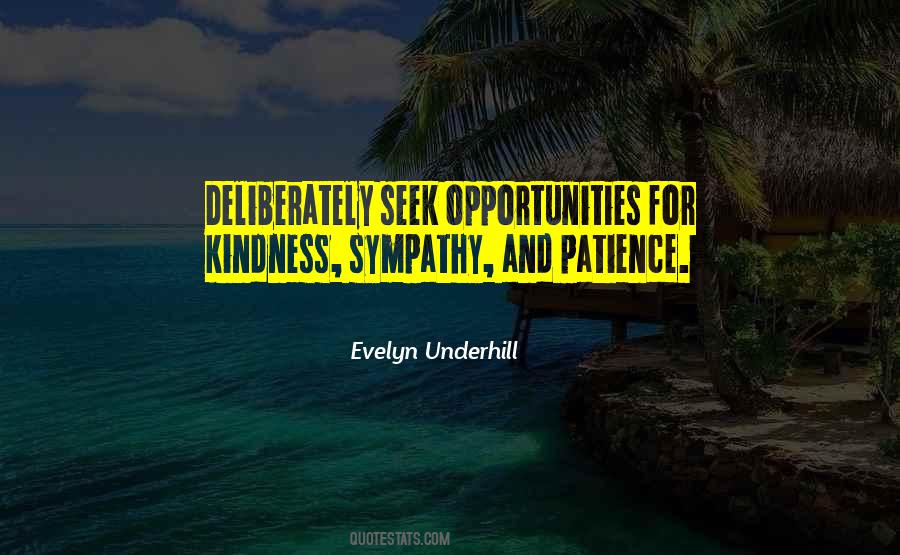 Seek Opportunities Quotes #1134649