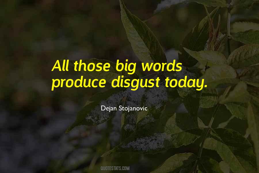 Big Words Quotes #1362041