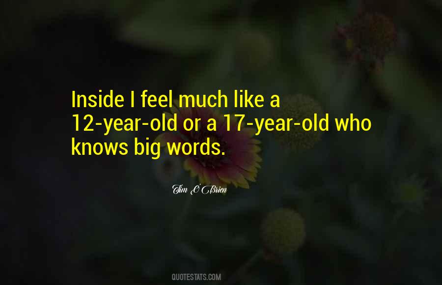Big Words Quotes #1774041