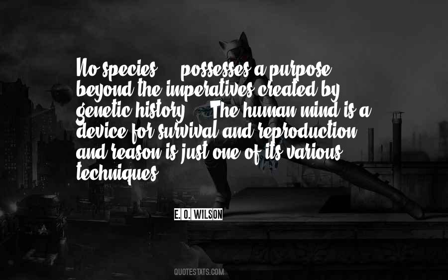 Quotes About Reason And Purpose #497978