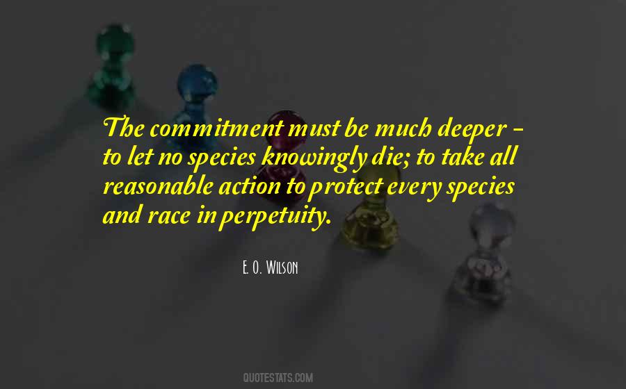 2010 Friends Provident T20 Quotes #829940