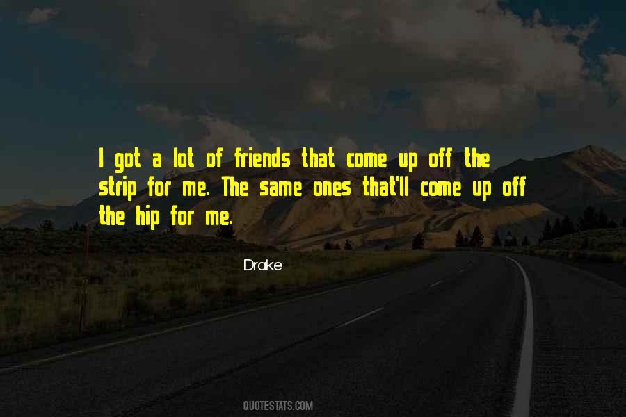 Quotes About A Lot Of Friends #992779