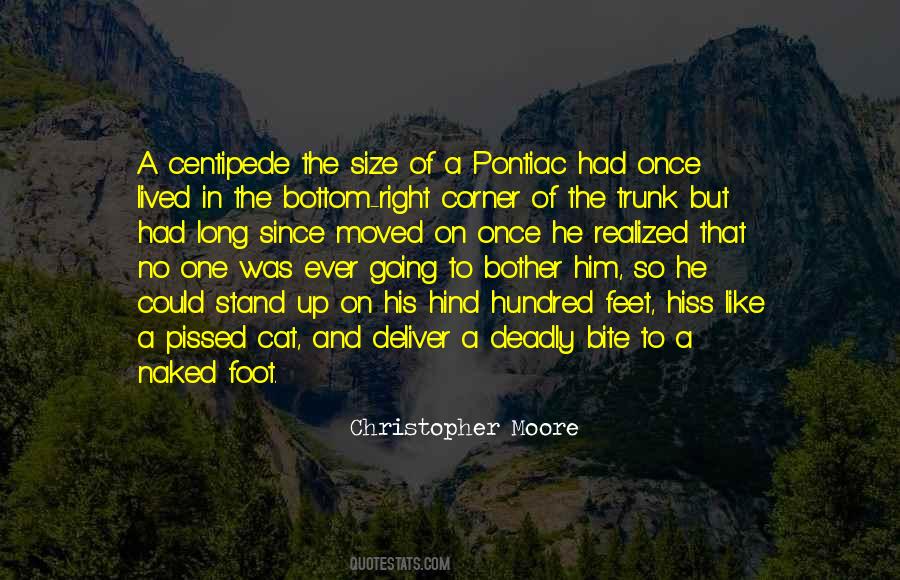 Quotes About Moved On #968438
