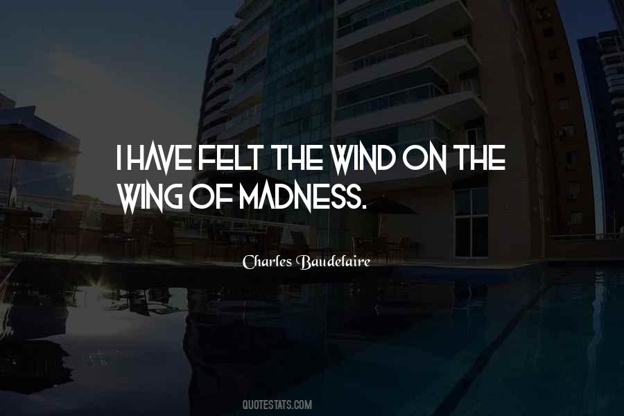 Madness Insanity Quotes #447033