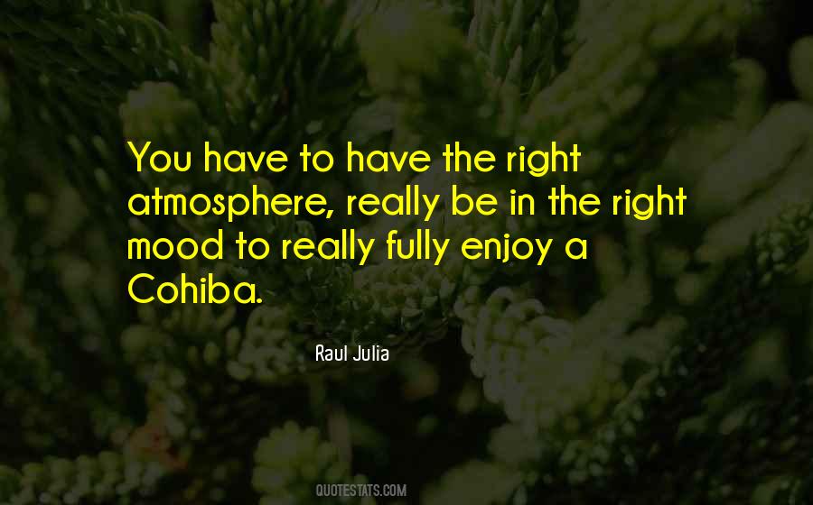 If We Enjoy It Fully Quotes #1352047