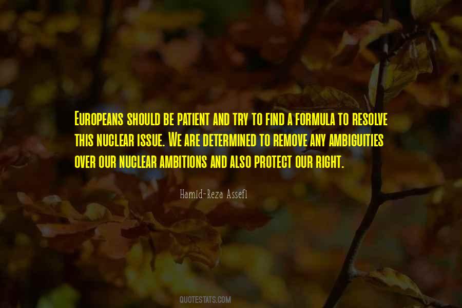 Right Formula Quotes #22124