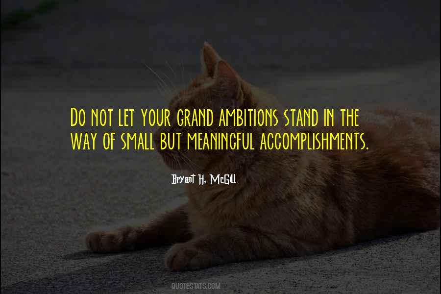 Quotes About Small Accomplishments #290734