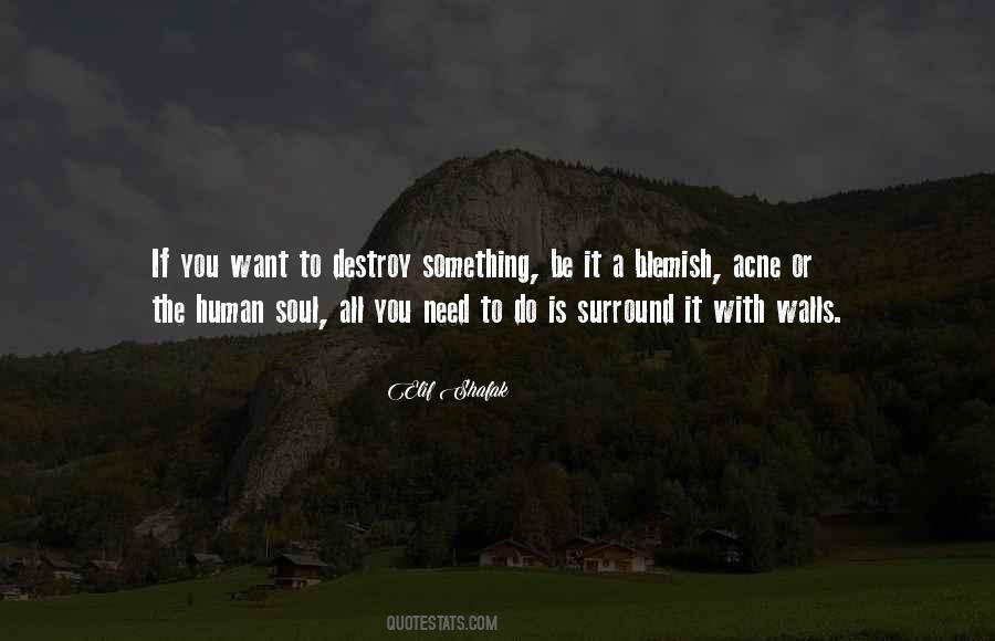 Quotes About The Human Soul #1216070