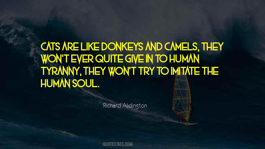 Quotes About The Human Soul #1634195