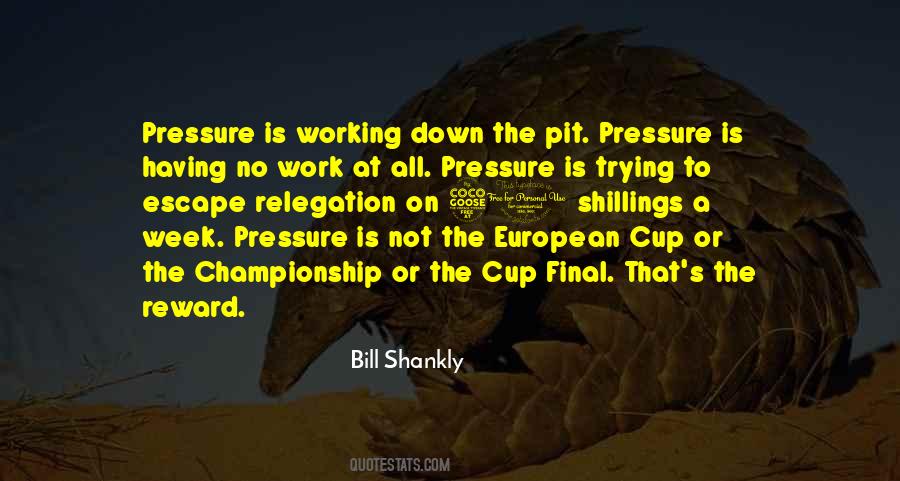 Quotes About Cup Finals #49014