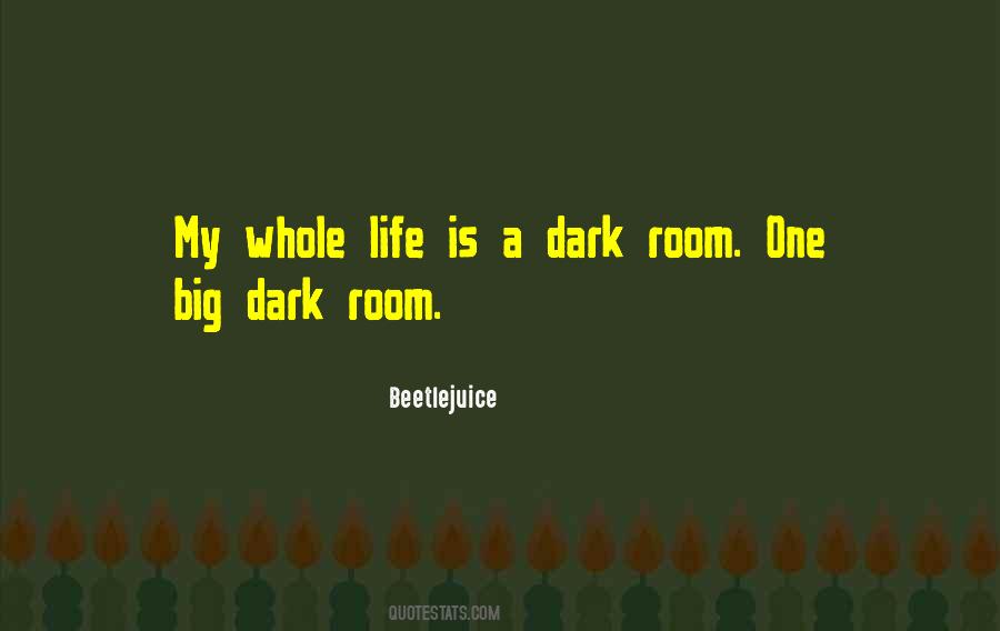 Dark Room Quotes #173689