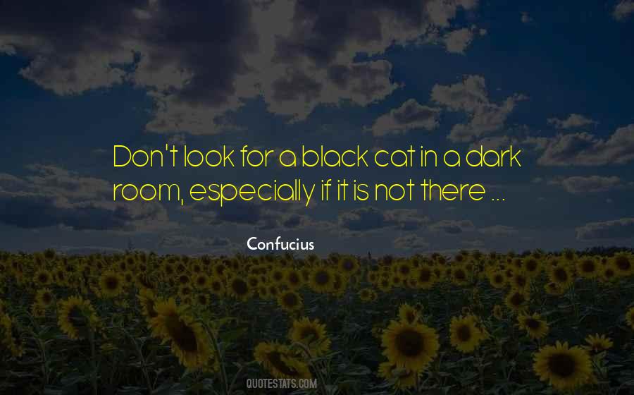 Dark Room Quotes #54107