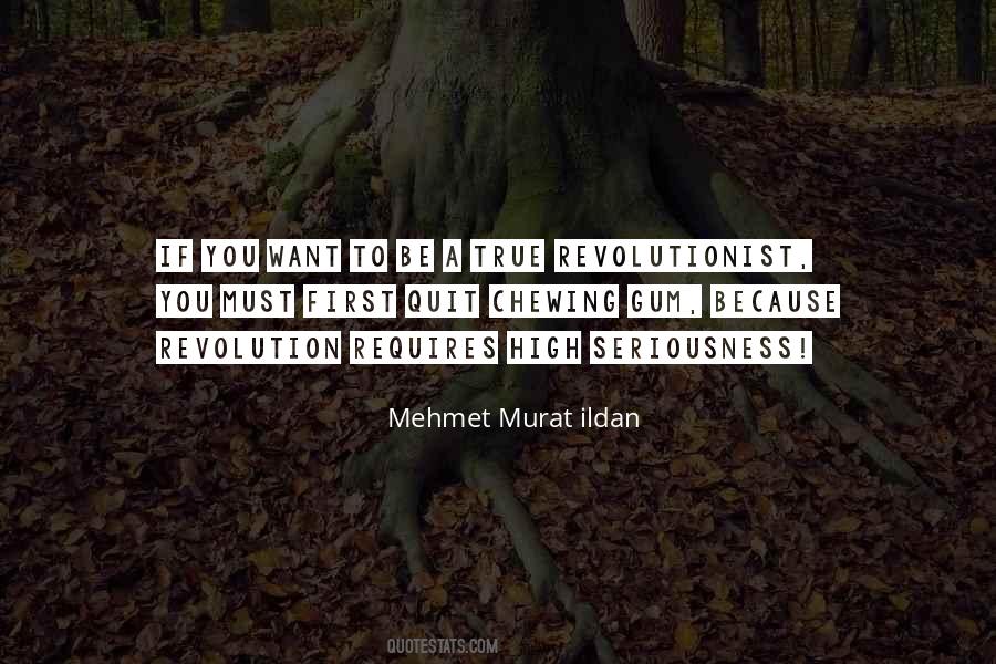 Quotes About Revolutionist #7724