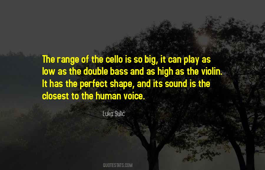 Quotes About Violin #1314212