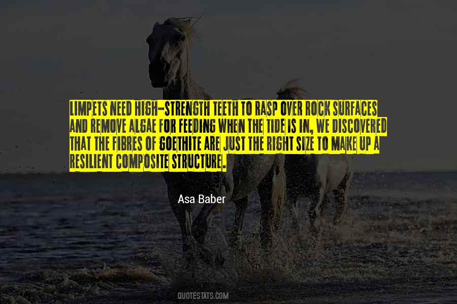 Quotes About Rocks And Strength #1311287