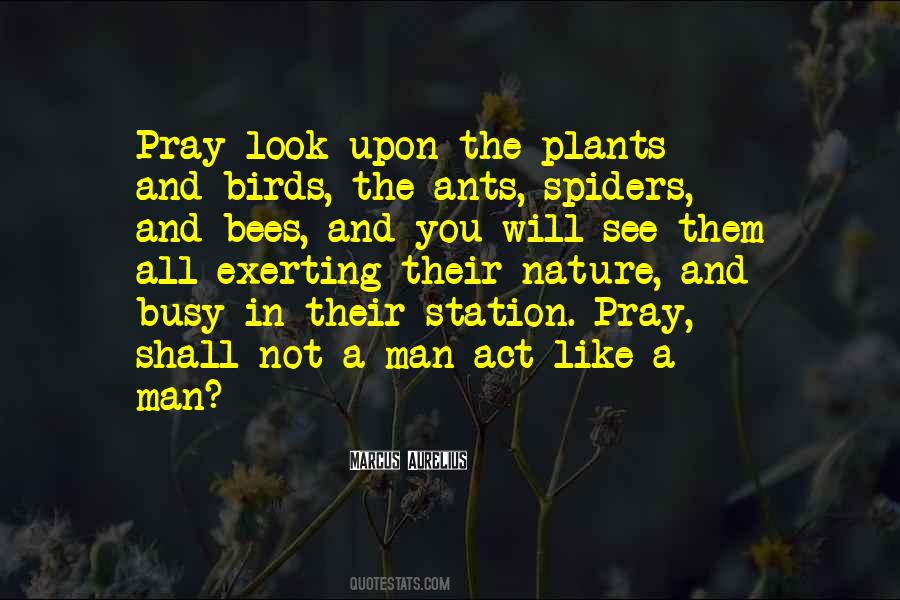 Quotes About Plants And Nature #494924