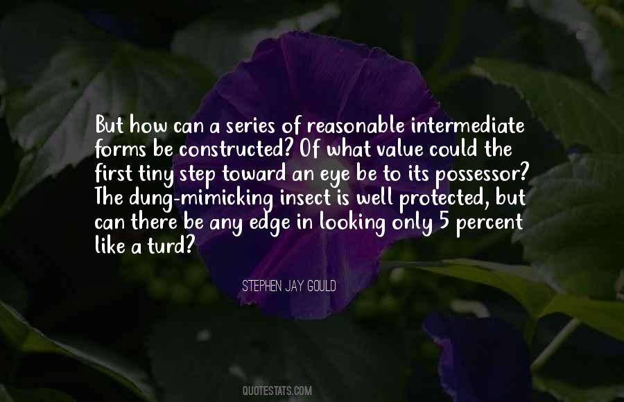 First In A Series Quotes #88348