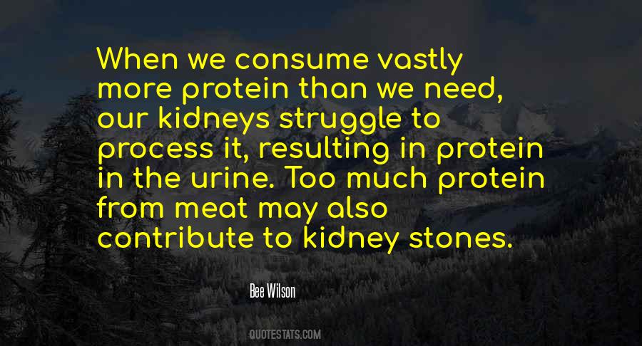 Quotes About Kidneys #1671430