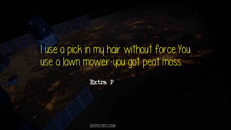 Birds Spider Ferocity Animals Quotes #1450607