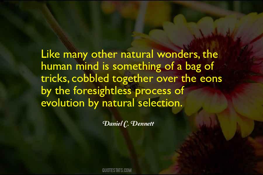 Quotes About Natural Wonders #511129