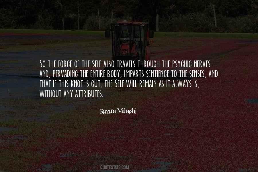 Senses Of The Body Quotes #1444279